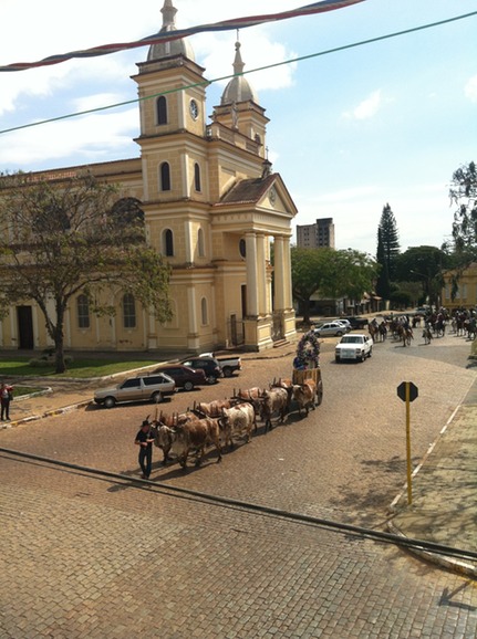 carro de boi